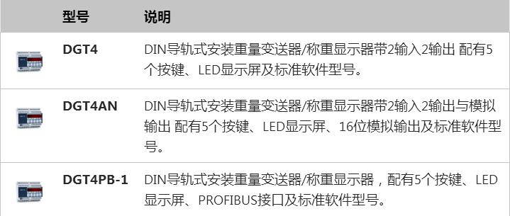 DGT4重量變送器型號(hào)說(shuō)明